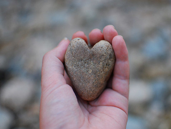 The programs featured image